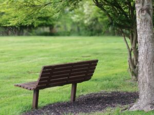 empty bench in park showing grief