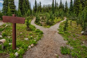 two paths in the road