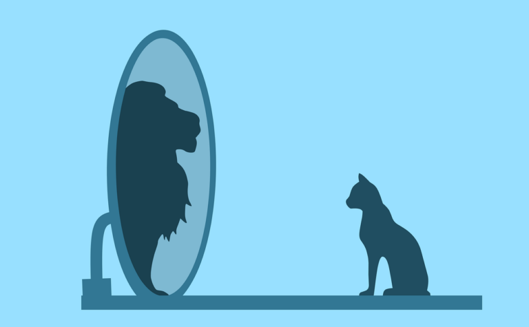 cat looking in mirror and seeing lion narcissism