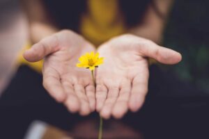 hands open holding yellow flower